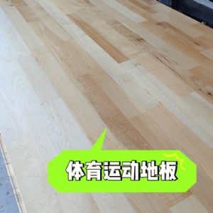 運(yùn)動(dòng)木地板